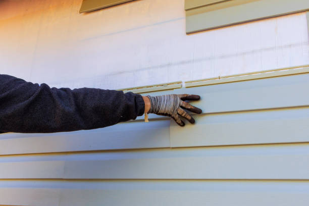 Best Historical Building Siding Restoration  in Calumet Park, IL